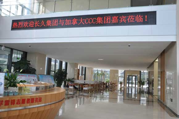 üôCCCǿǿ